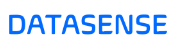DATASENSE SVG BLUE 175
