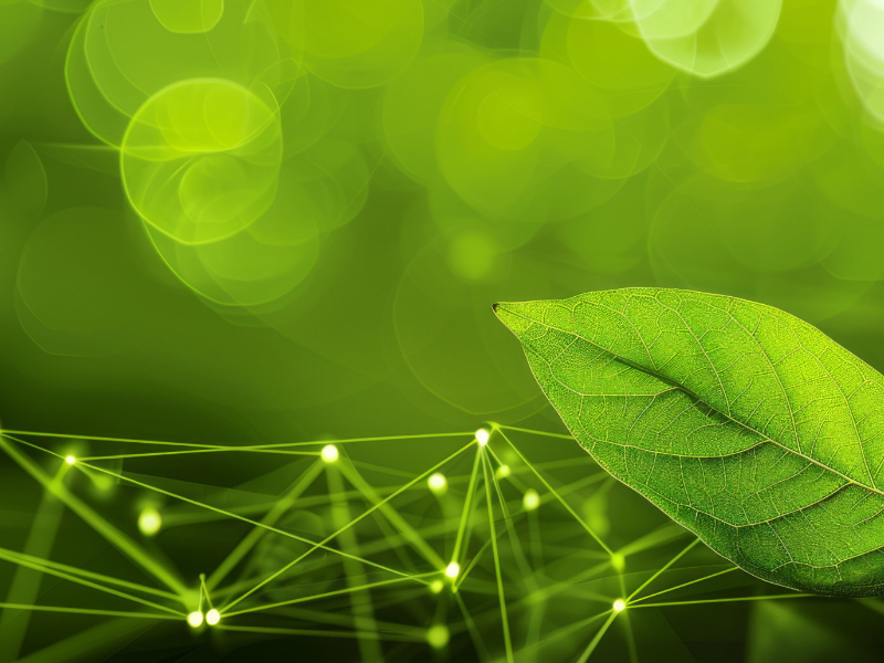 Ympäristötutkimus Environmental Research